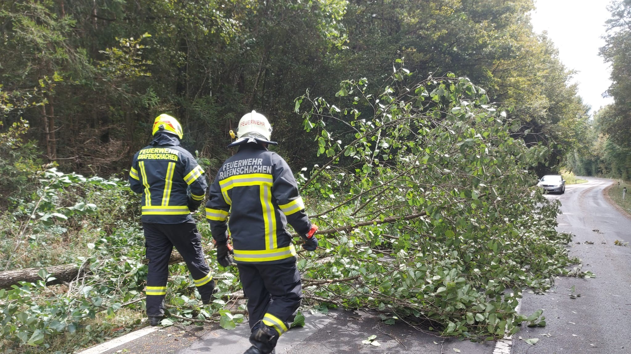 T1 – Baum blockiert Straße